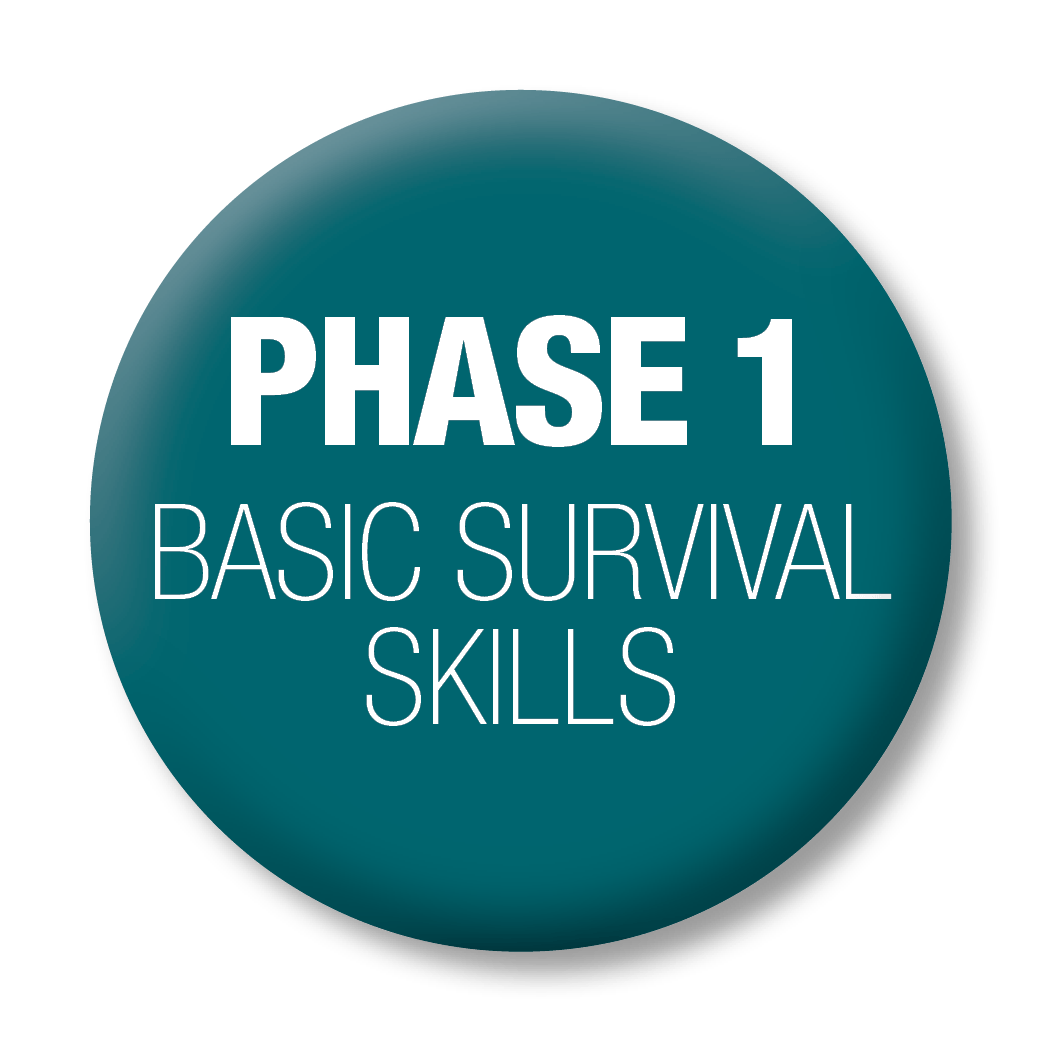 NEO Website Button - Phase 1