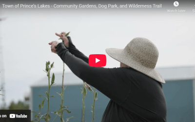 Town of Prince’s Lakes Earns Aim Award for Community Gardens, Dog Park, and Trail Project